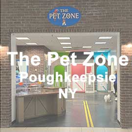 The Pet Zone Poughkeepsie new york ny for sale